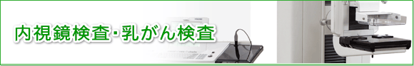 内視鏡検査・乳がん検査
